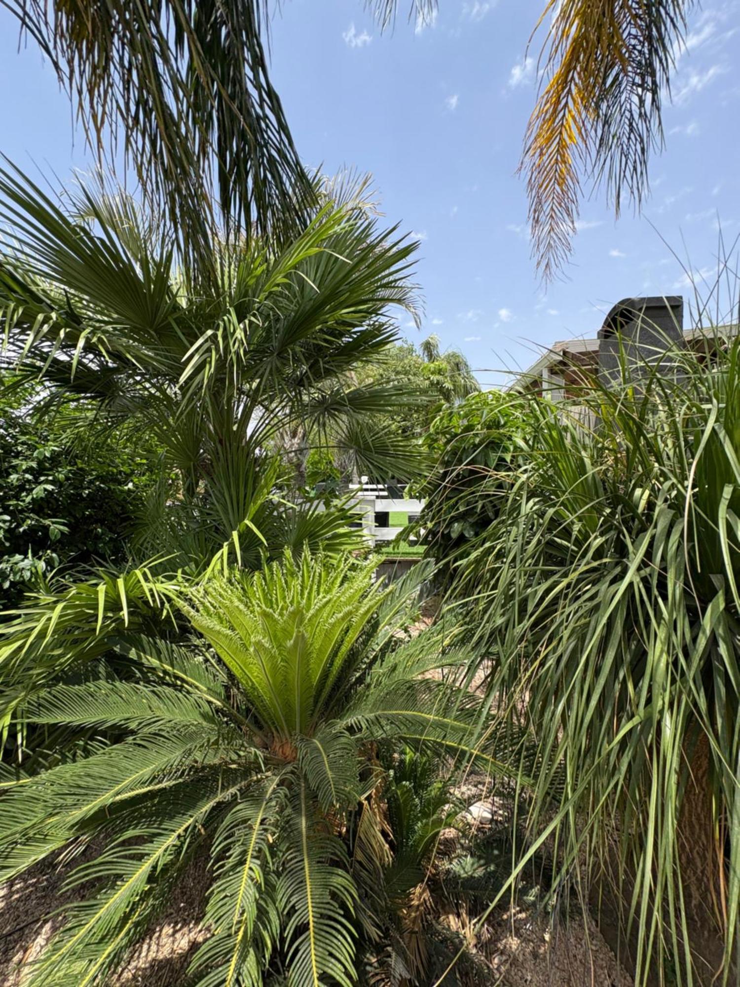 Villa Kesem Bagolan Had Nes Exterior foto